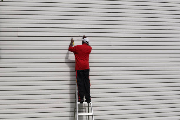 Best Aluminum Siding Installation  in Leawood, KS